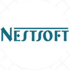 Nestsoft TechnoMaster – Digital Marketing